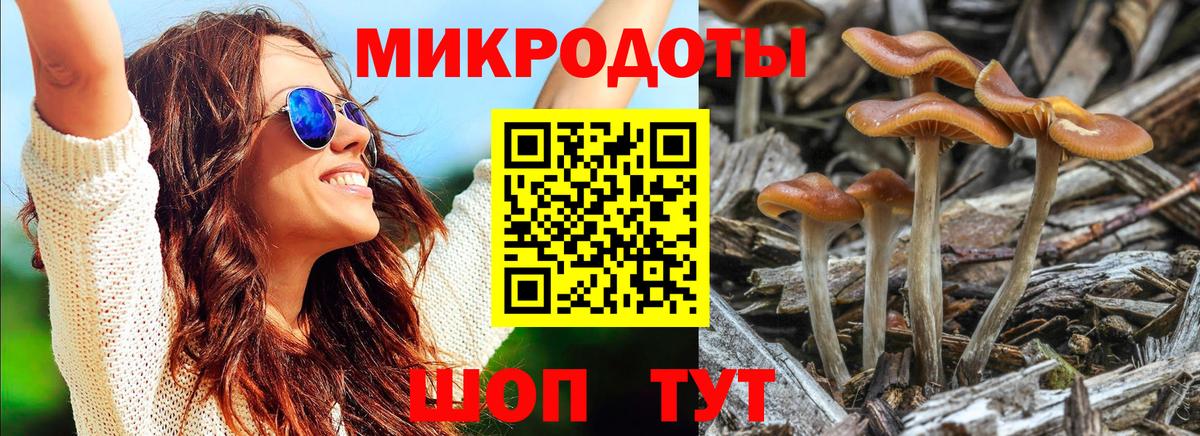 Псилоцибиновые грибы мухоморы  Галлюциногенные грибы Magic Shrooms  Сафоново  Вход с VPN 